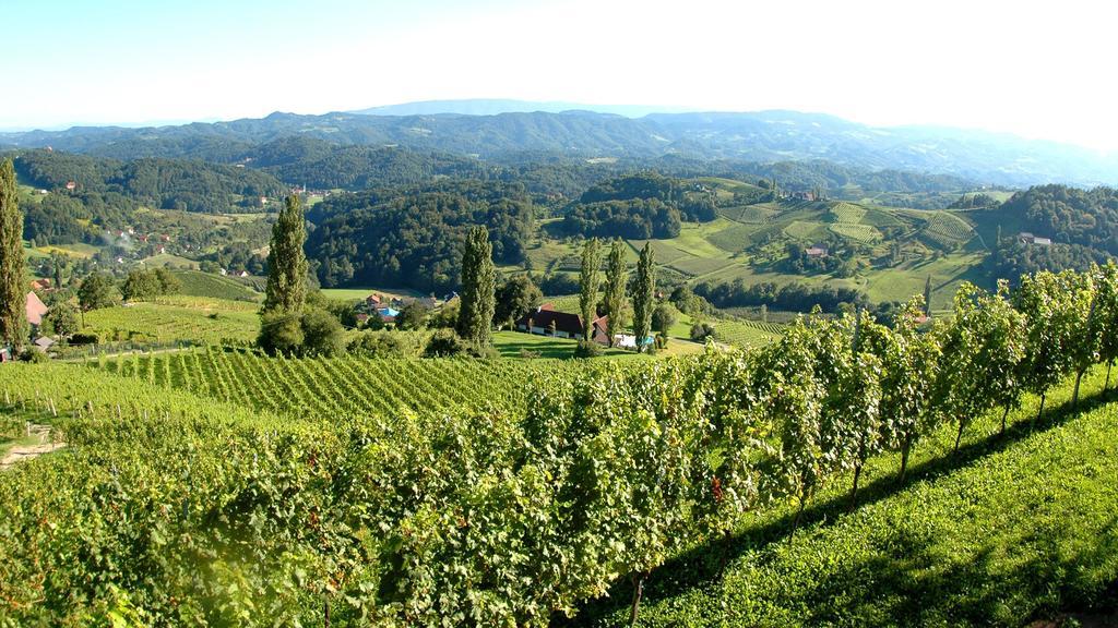 Hotel Weingut Rebenhof Moarhauser Ratsch an der Weinstraße Pokoj fotografie